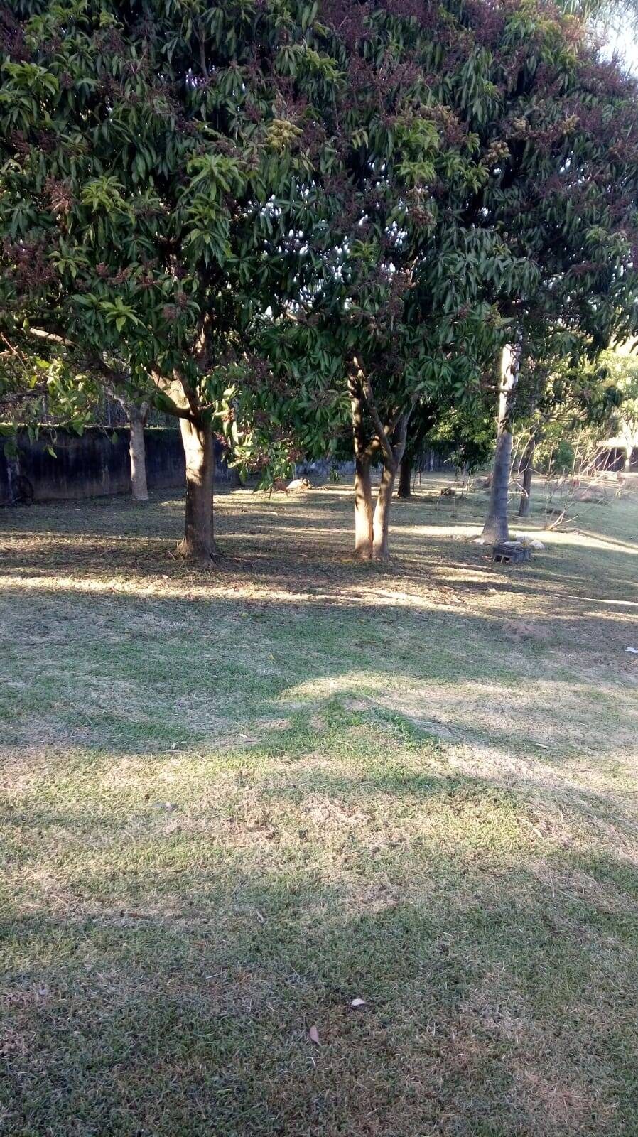 Chácara, 5 quartos, 3662 m² - Foto 13