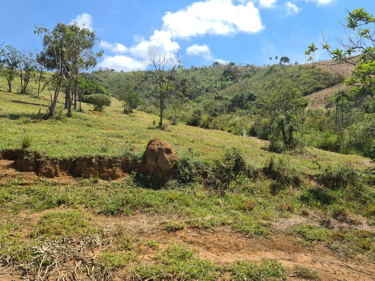 Sítio, 1 quarto, 19 hectares - Foto 10