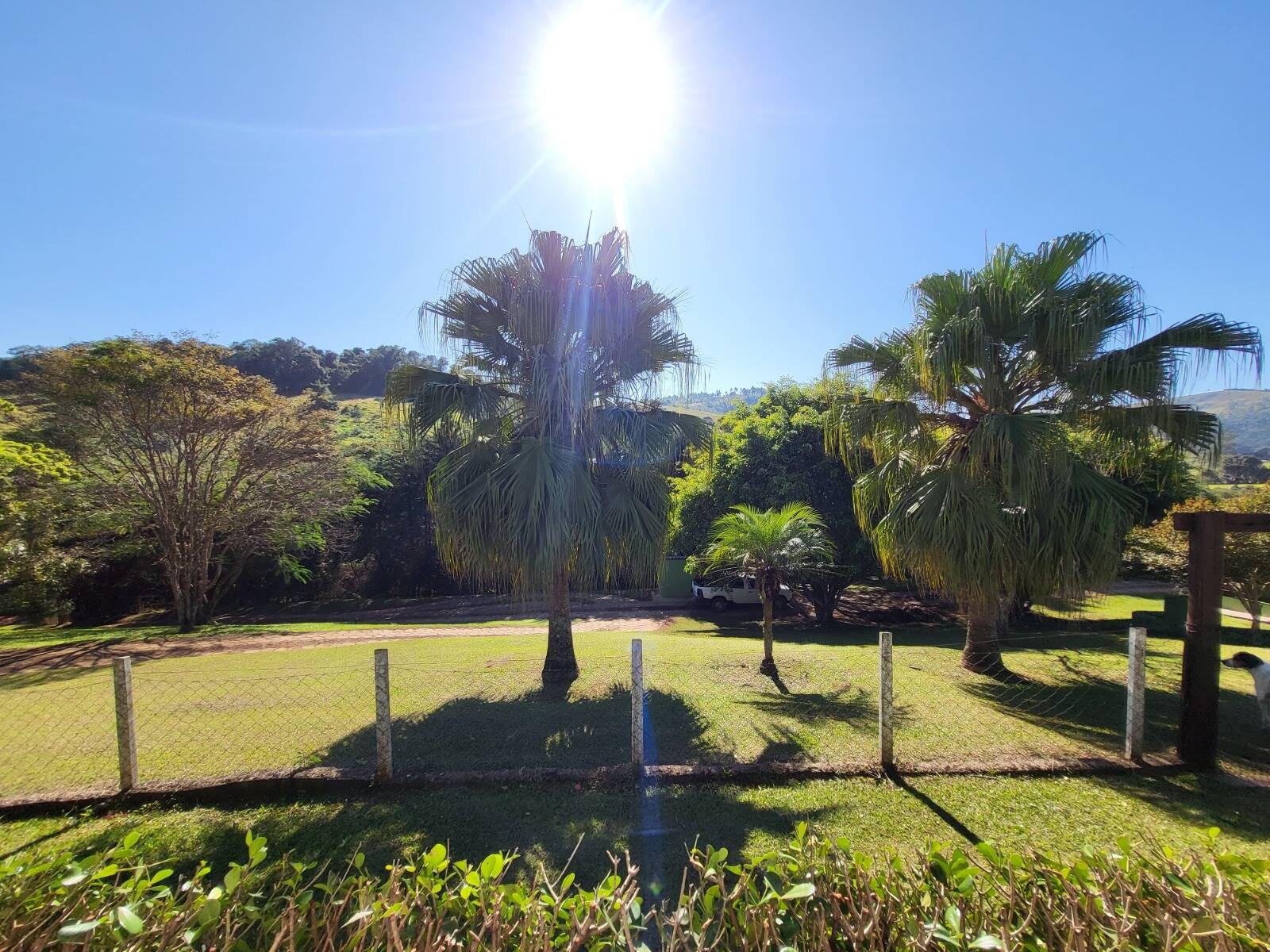 Sítio, 7 quartos, 3 hectares - Foto 47