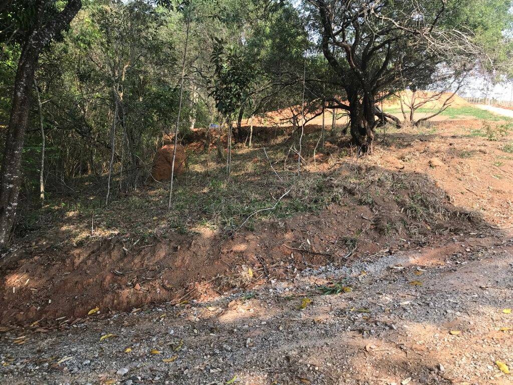 Terreno, 8000 m² - Foto 17