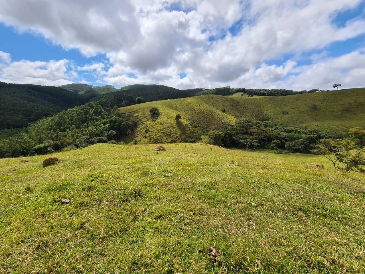 Sítio, 3 quartos, 51 hectares - Foto 16