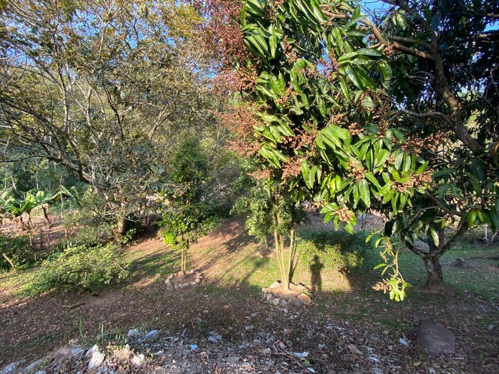 Chácara, 5 quartos, 4000 m² - Foto 4