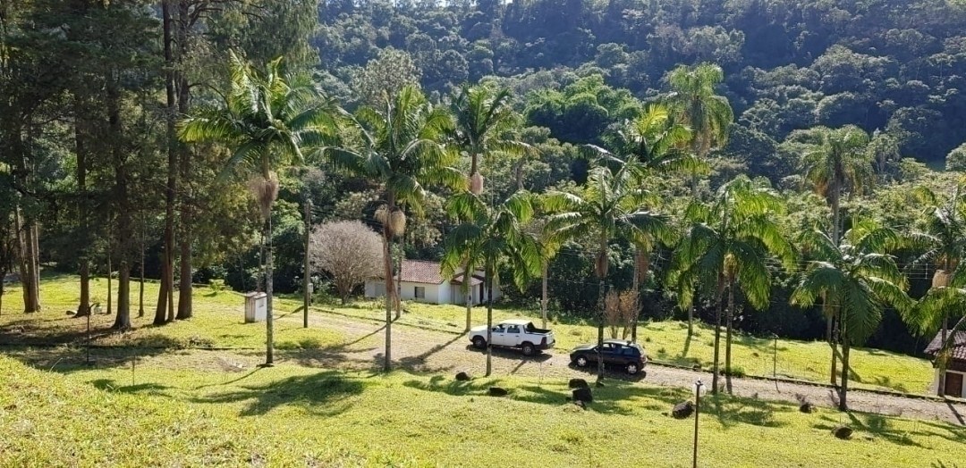 Chácara, 7 quartos, 4 hectares - Foto 3