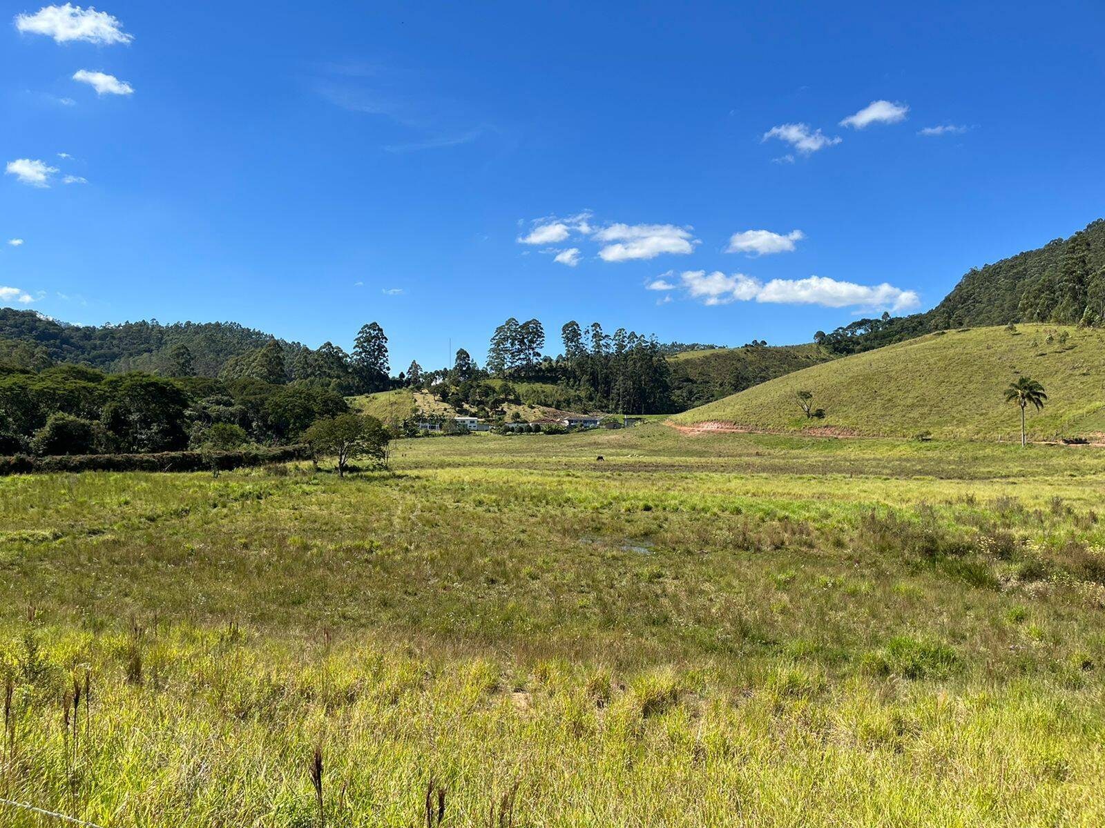 Chácara, 4 quartos, 196 hectares - Foto 12
