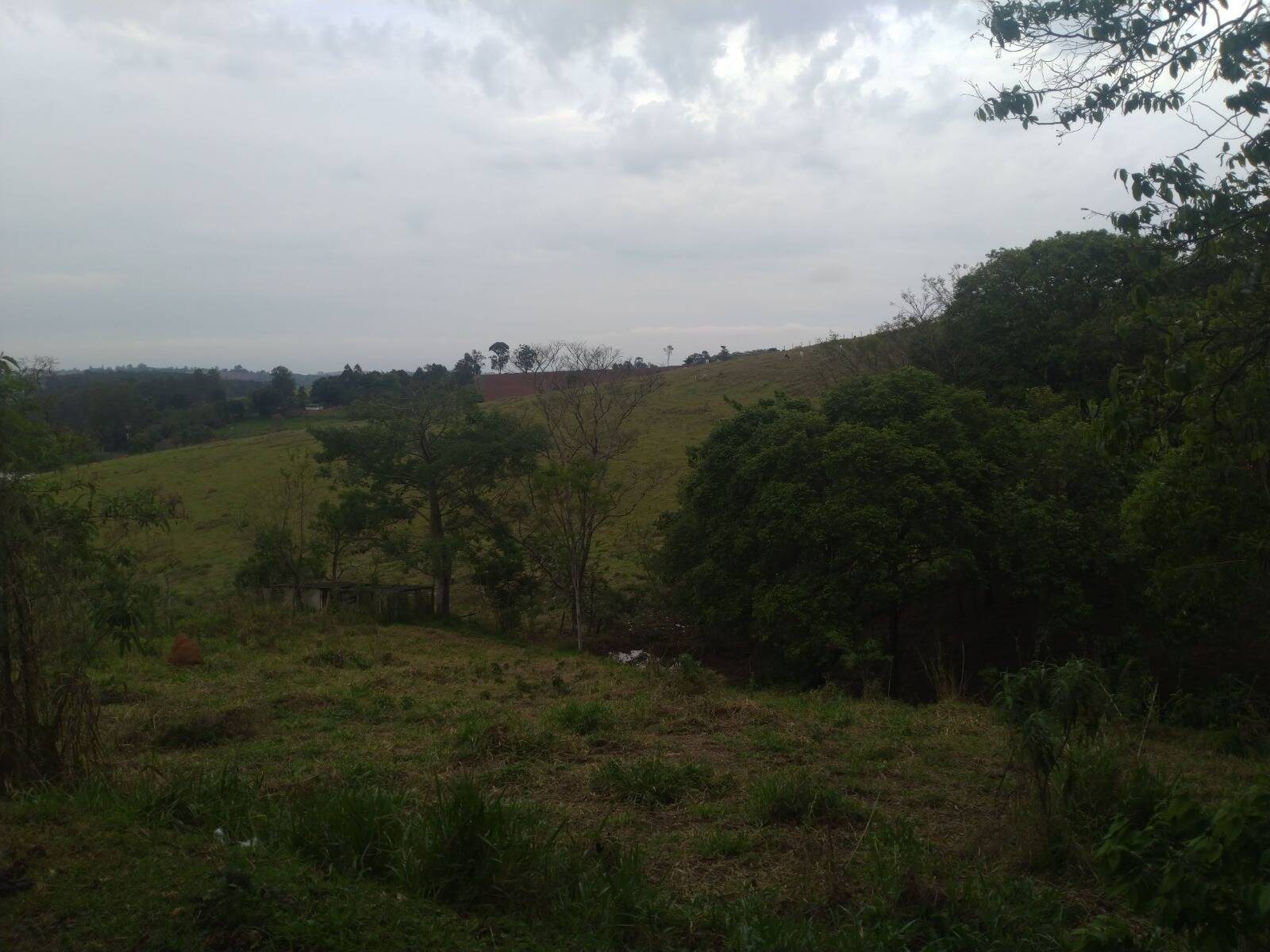 Sítio, 4 quartos, 2 hectares - Foto 14