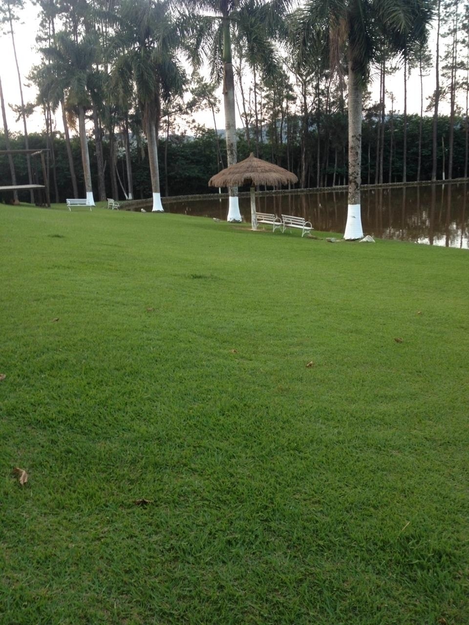 Sítio, 10 quartos, 47 hectares - Foto 10