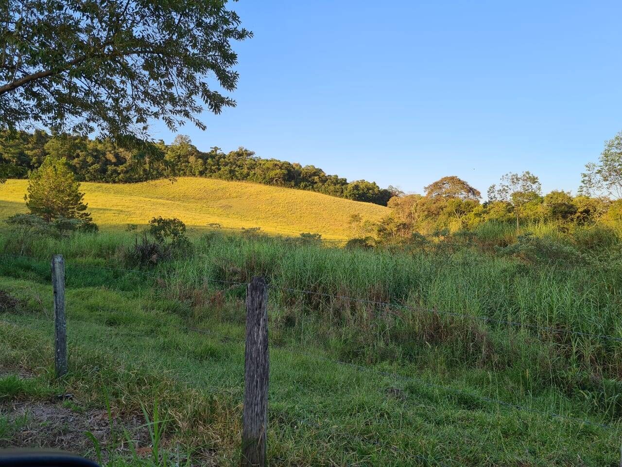 Sítio, 4 quartos, 605 hectares - Foto 42