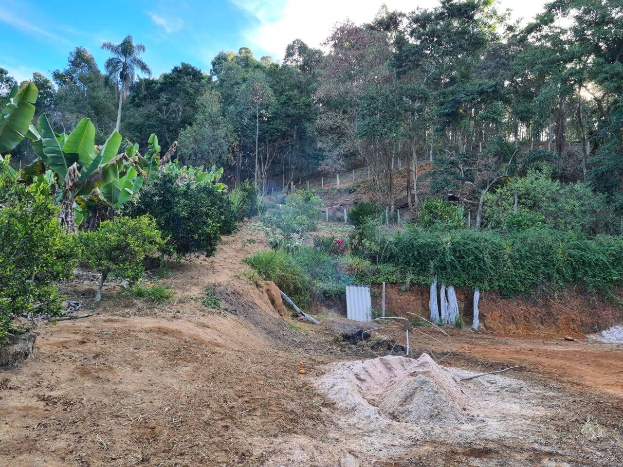 Sítio, 2 quartos, 6 hectares - Foto 4