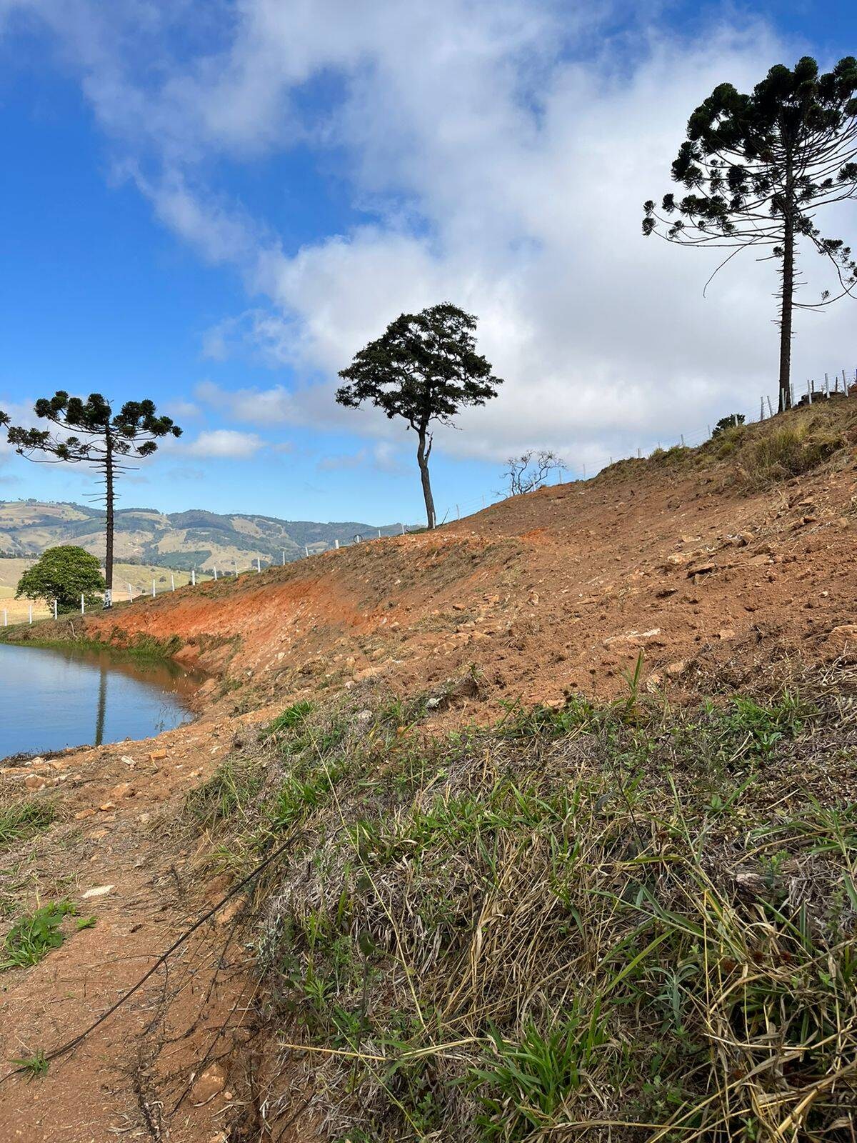 Terreno, 8000 m² - Foto 5