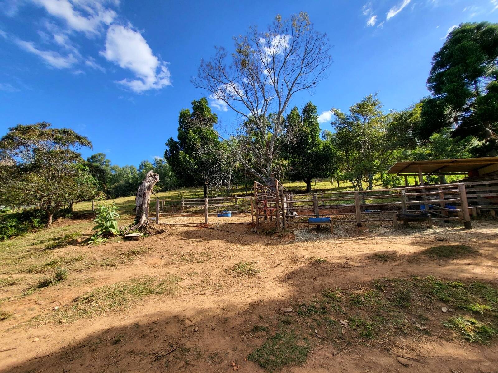 Sítio, 3 quartos, 4 hectares - Foto 12