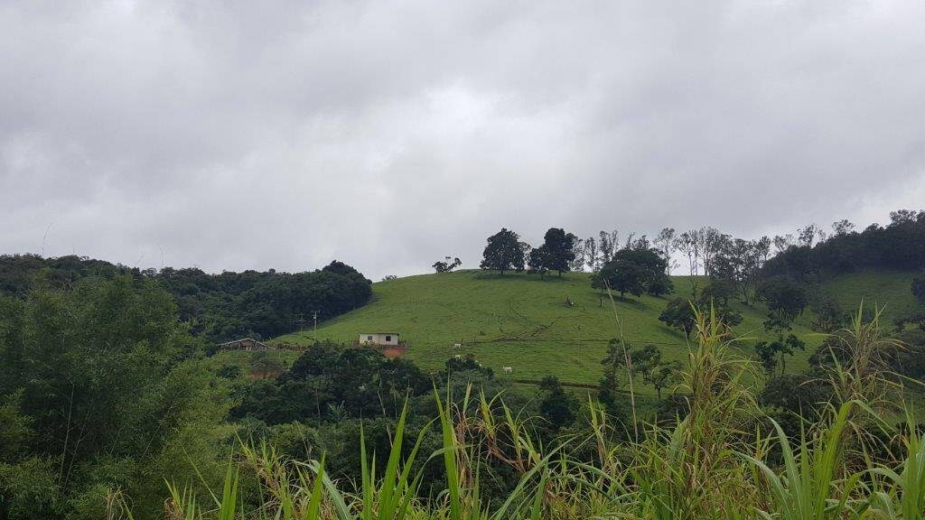 Chácara, 2 quartos, 10 hectares - Foto 3