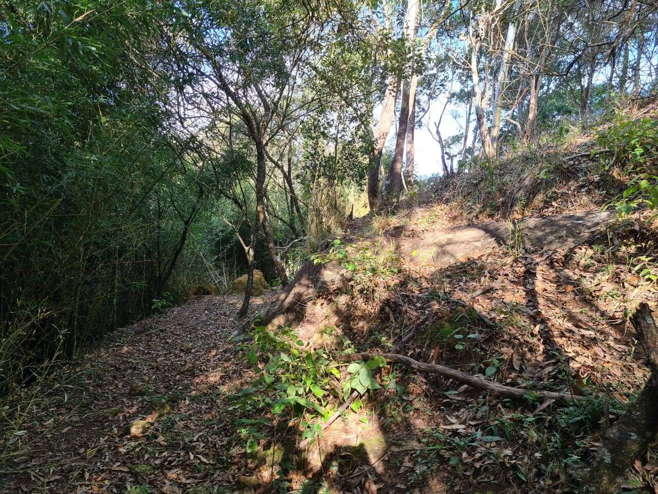 Sítio, 2 quartos, 6 hectares - Foto 15