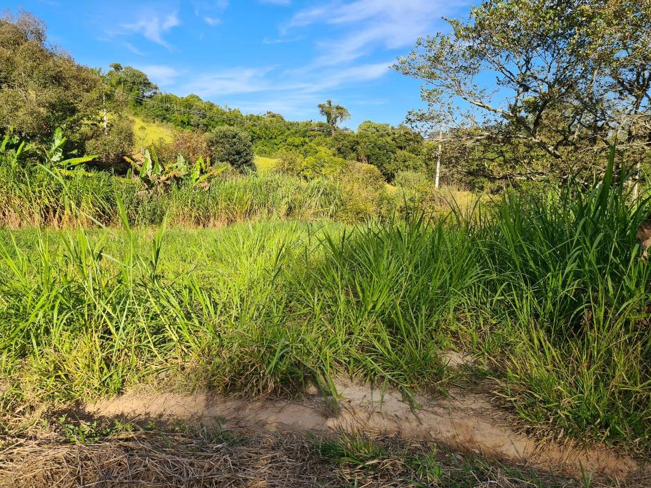 Sítio, 2 quartos, 6 hectares - Foto 7