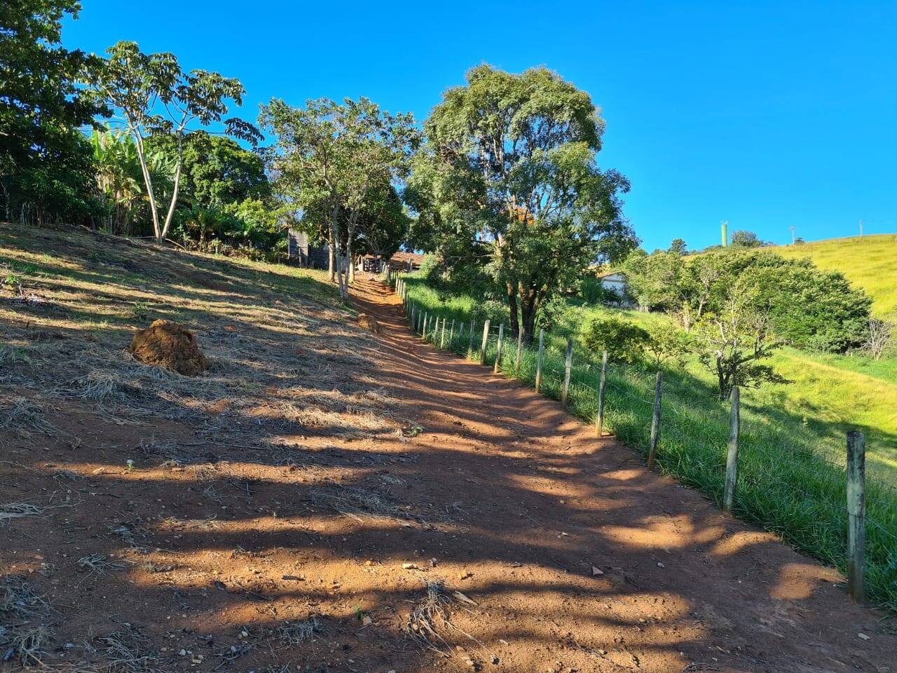 Terreno, 2 hectares - Foto 12