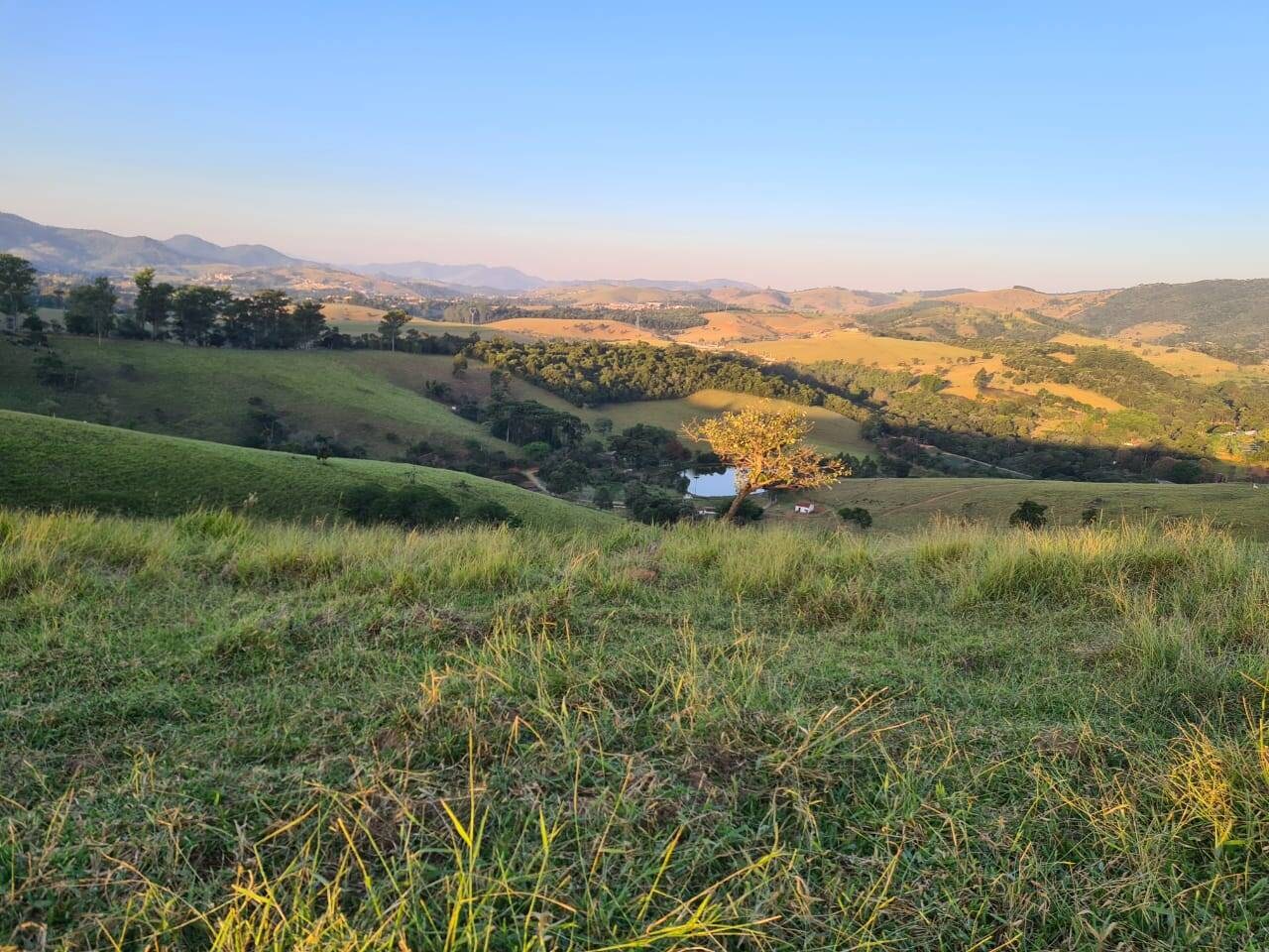 Sítio, 4 quartos, 605 hectares - Foto 25