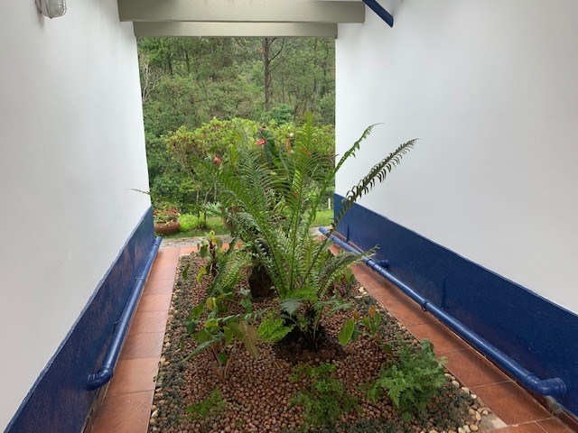 Chácara, 3 quartos, 7400 m² - Foto 6