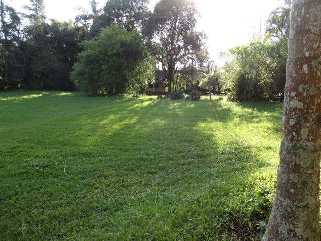 Sítio, 3 quartos, 4 hectares - Foto 8