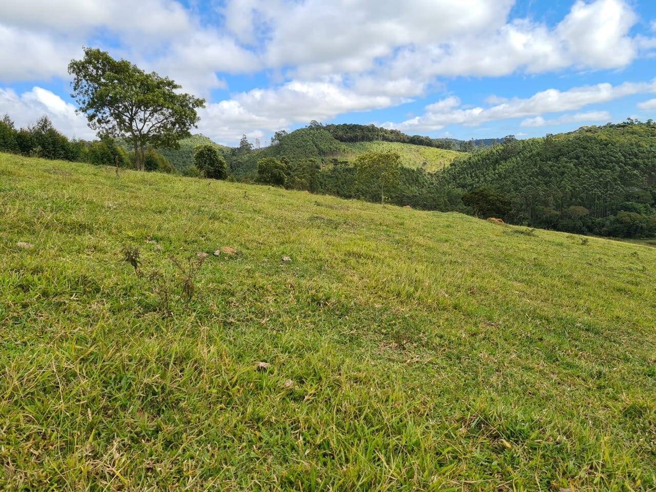 Sítio, 3 quartos, 51 hectares - Foto 4