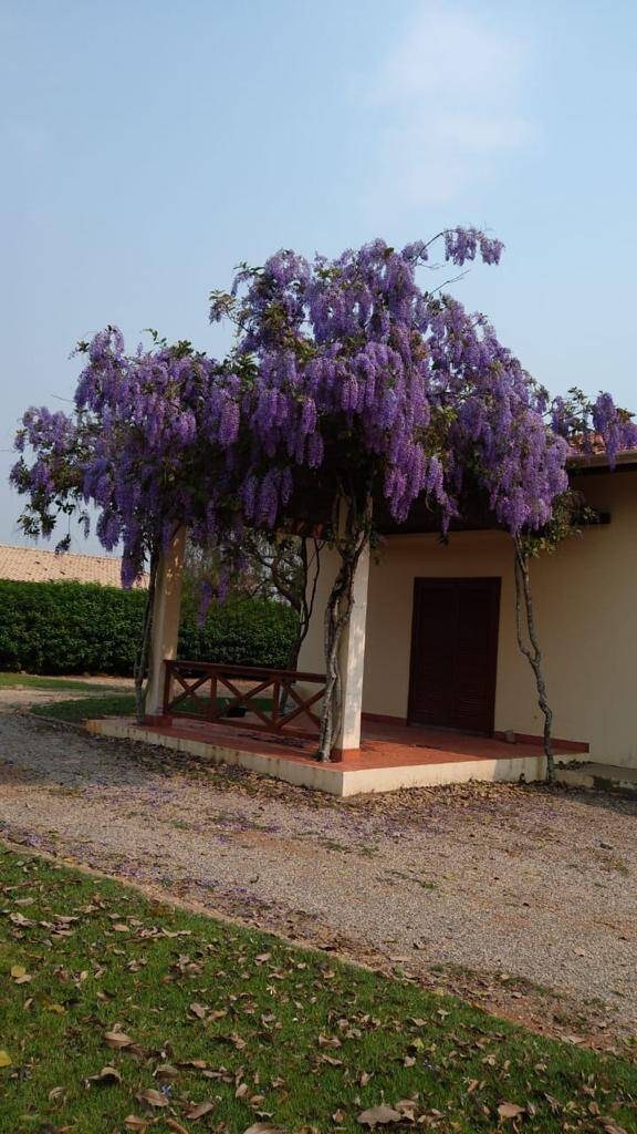 Chácara, 3 quartos, 5000 m² - Foto 16