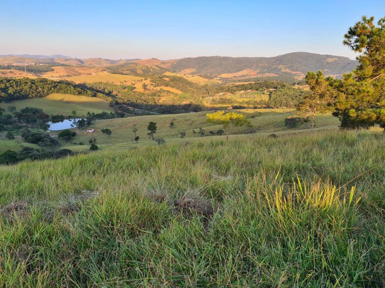 Sítio, 4 quartos, 605 hectares - Foto 23