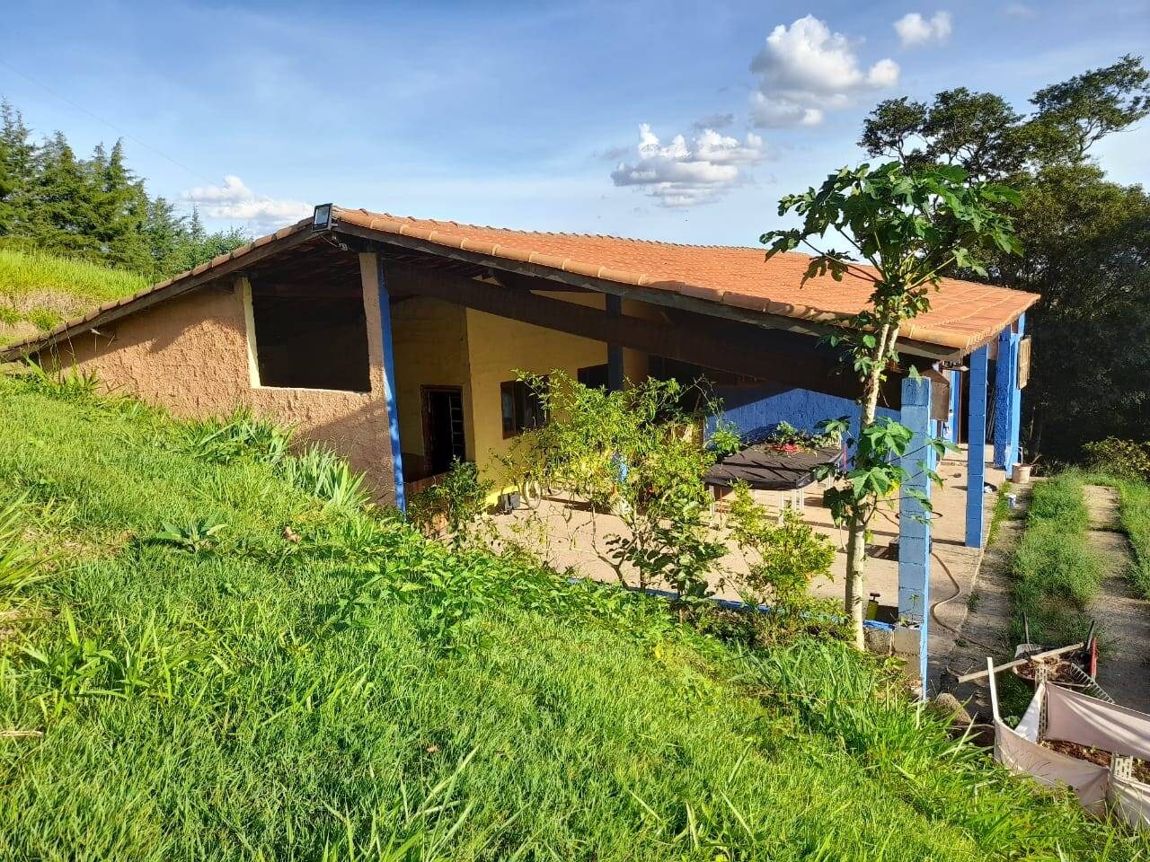 Sítio, 4 quartos, 2 hectares - Foto 1