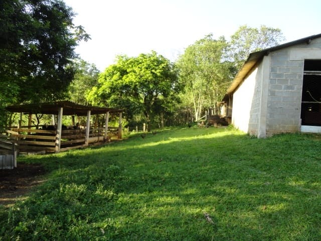 Sítio, 3 quartos, 4 hectares - Foto 19
