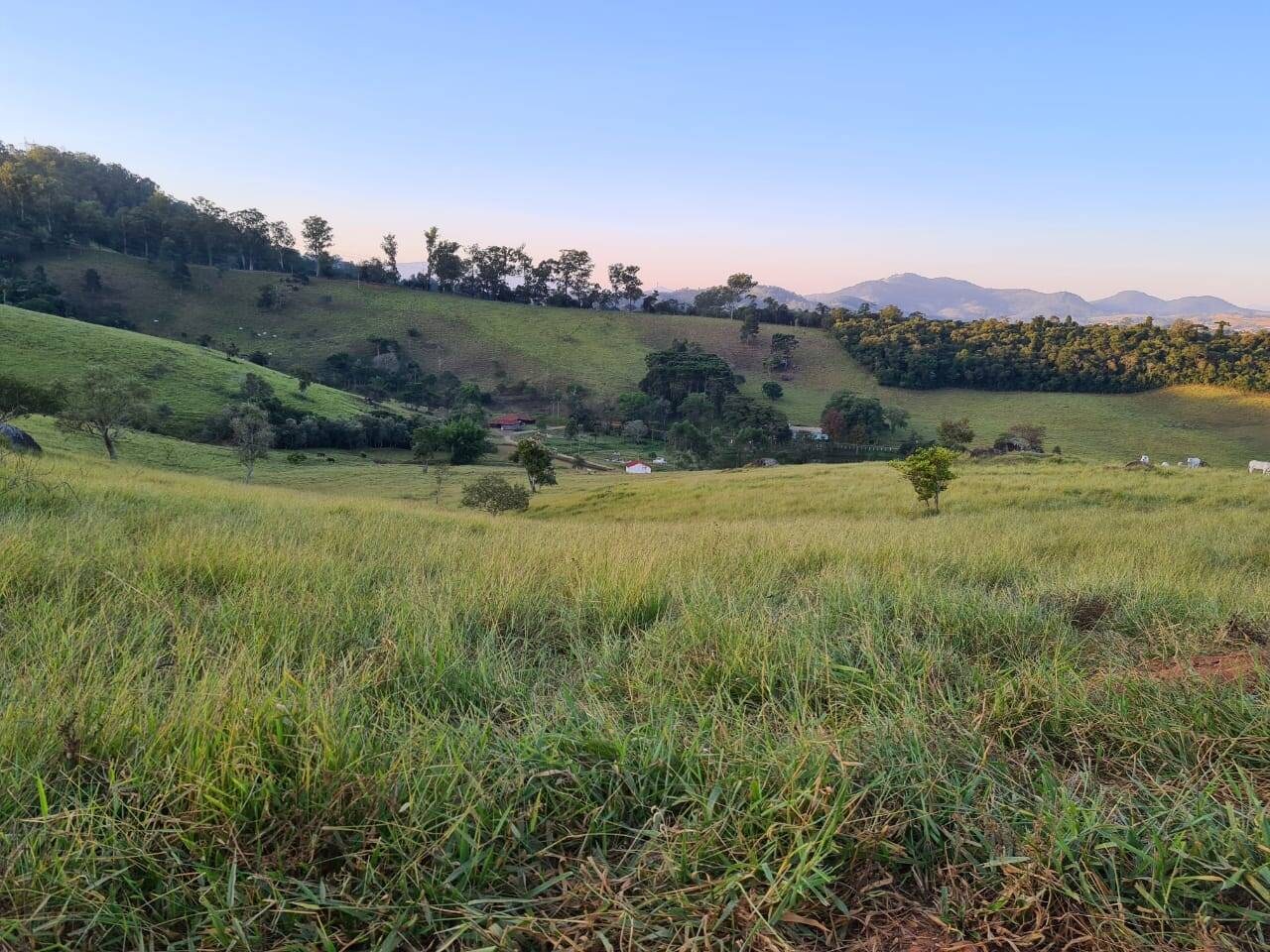 Sítio, 4 quartos, 605 hectares - Foto 18