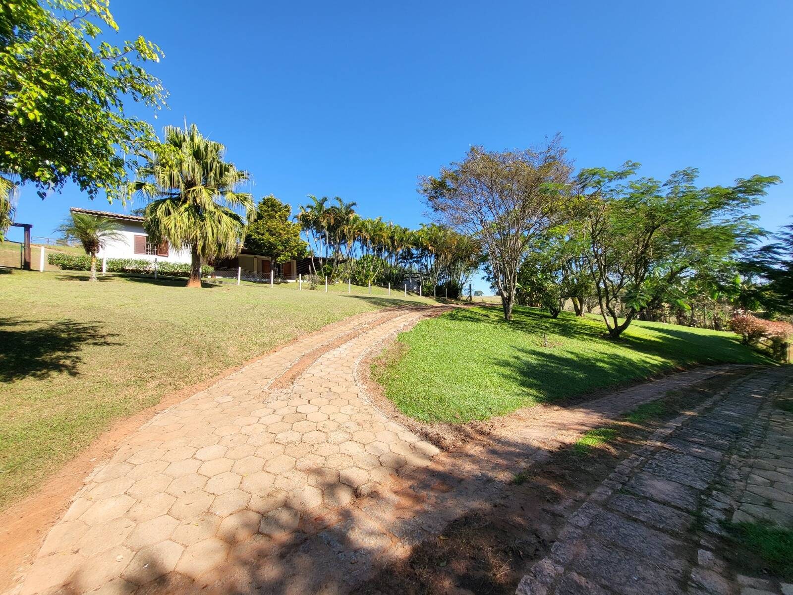 Sítio, 7 quartos, 3 hectares - Foto 38