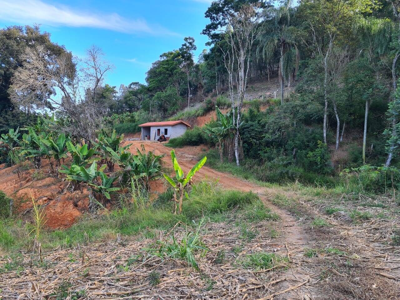 Sítio, 2 quartos, 6 hectares - Foto 8