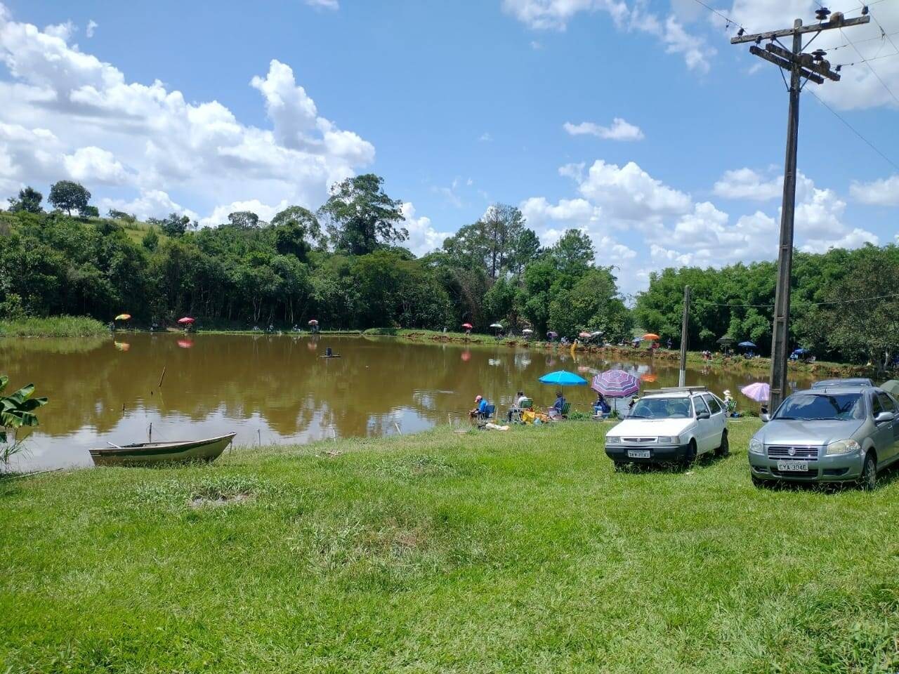 Chácara, 2 hectares - Foto 12