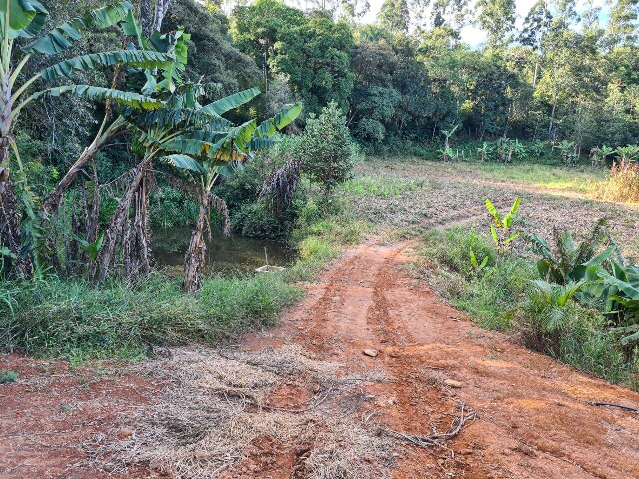Sítio, 2 quartos, 6 hectares - Foto 11