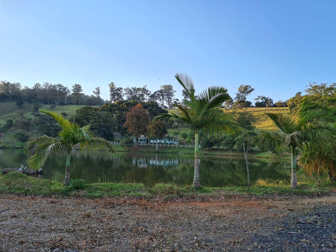 Sítio, 4 quartos, 605 hectares - Foto 44