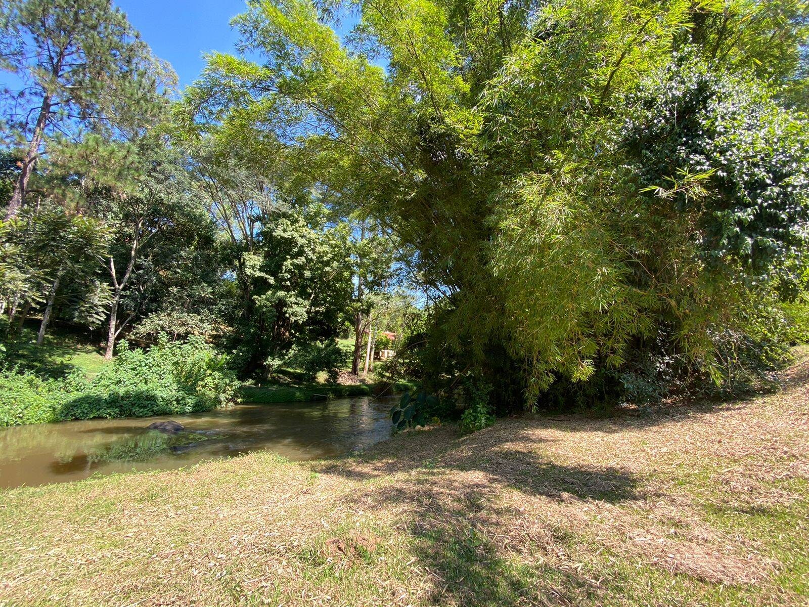 Sítio, 5 quartos, 3 hectares - Foto 4