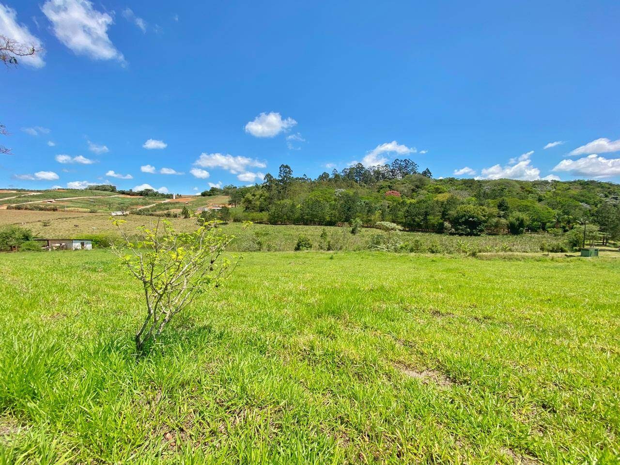 Sítio, 6 quartos, 6 hectares - Foto 37