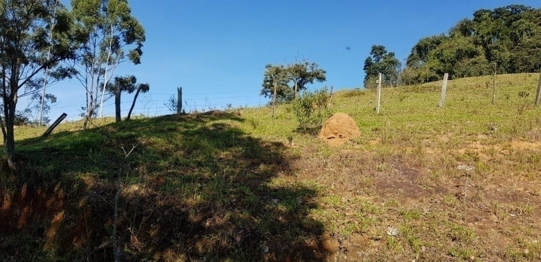 Chácara, 7 quartos, 4 hectares - Foto 15