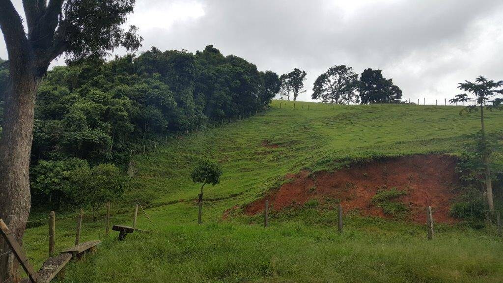 Chácara, 2 quartos, 10 hectares - Foto 20