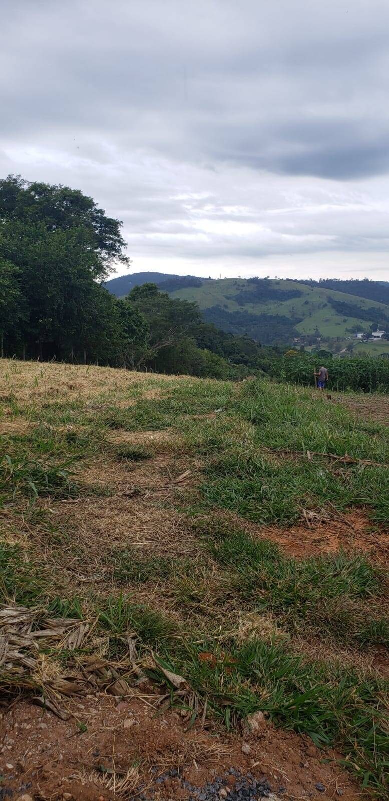 Terreno, 2000 m² - Foto 4