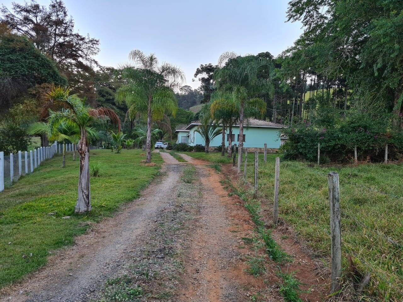 Sítio, 4 quartos, 605 hectares - Foto 2