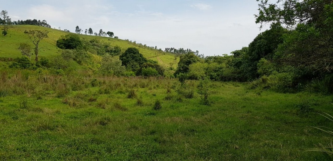 Sítio, 5 quartos, 27 hectares - Foto 18