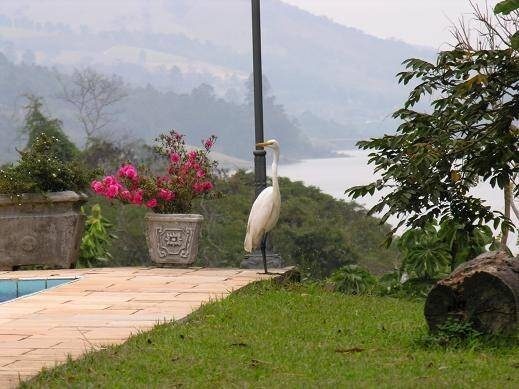 Pousada-Chalé, 10 quartos, 40935 m² - Foto 22