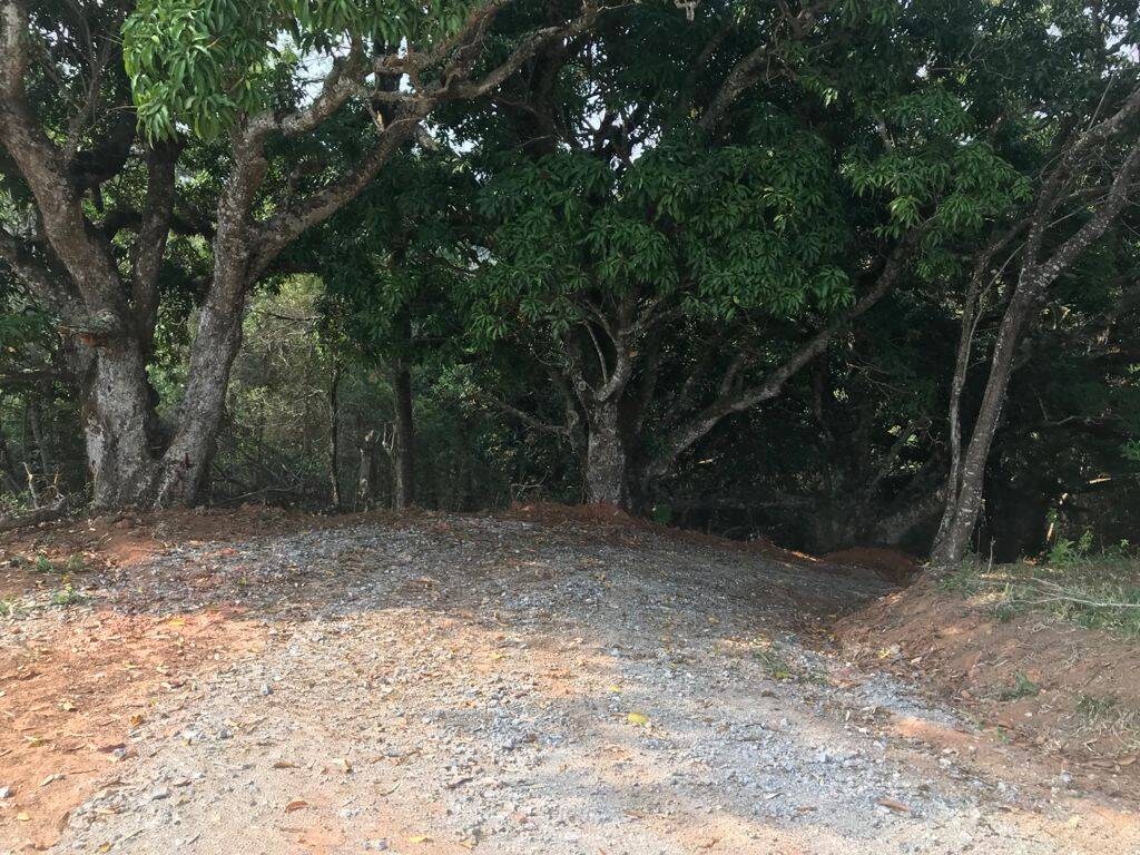 Terreno, 8000 m² - Foto 15