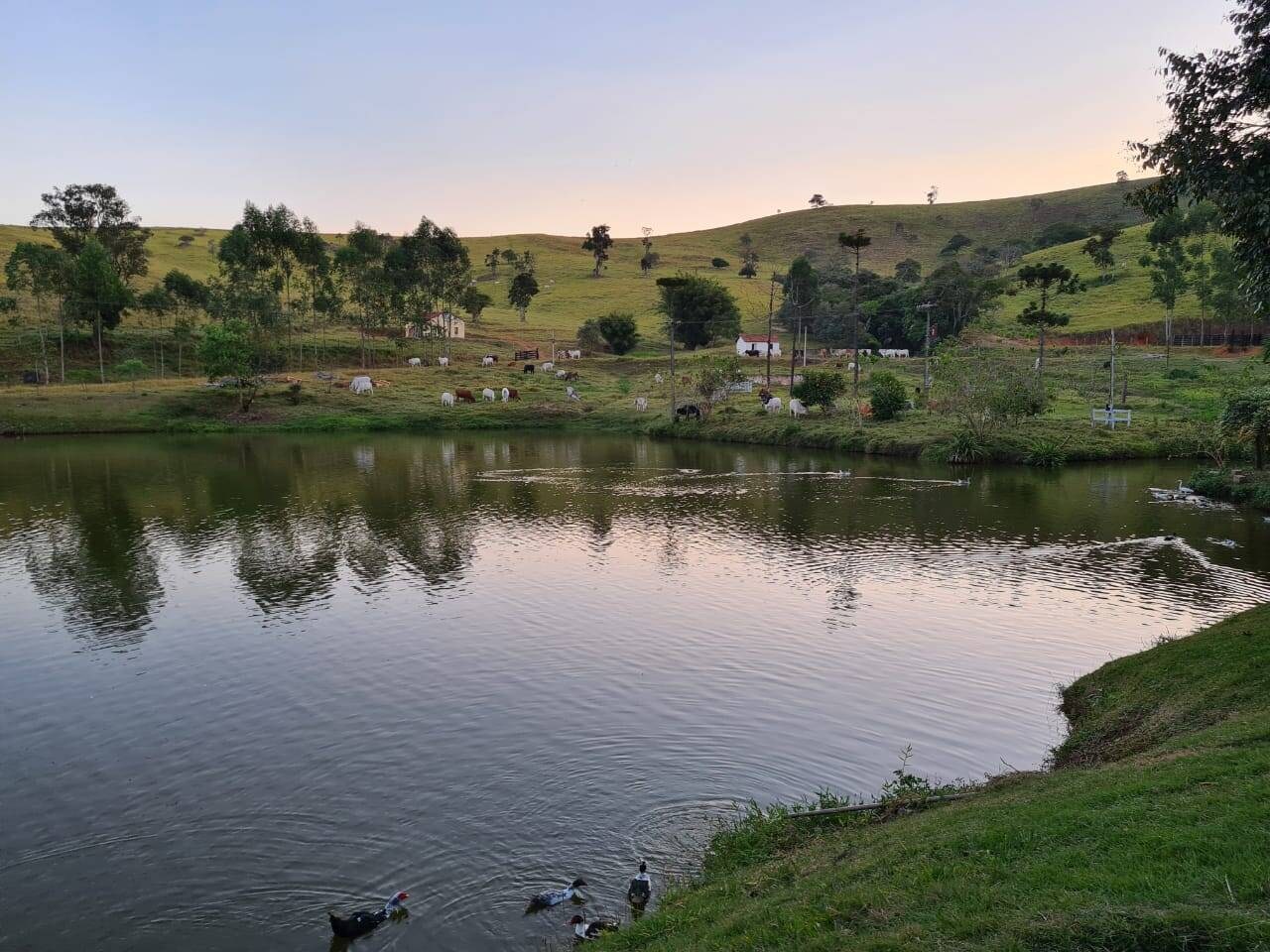 Sítio, 4 quartos, 605 hectares - Foto 6