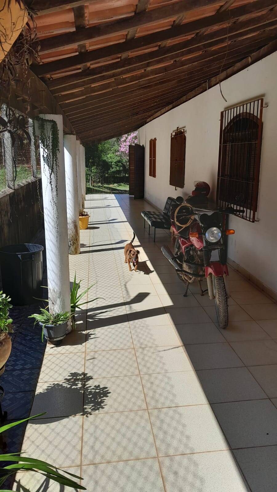Chácara, 5 quartos, 3662 m² - Foto 20