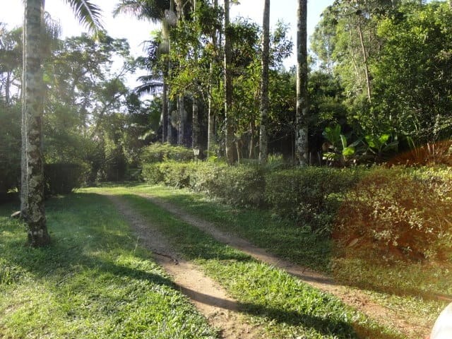 Sítio, 3 quartos, 4 hectares - Foto 3