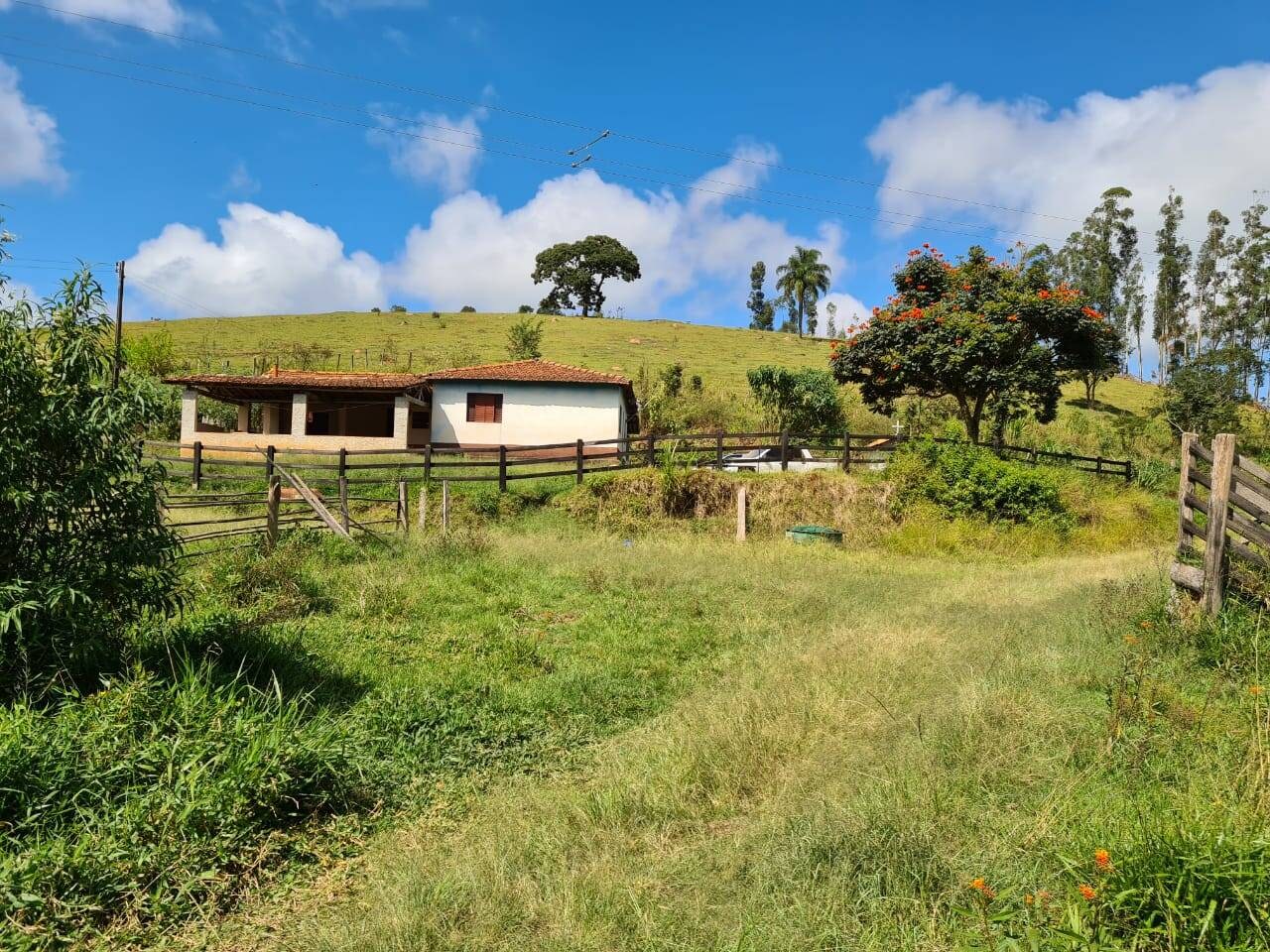 Sítio, 3 quartos, 51 hectares - Foto 15