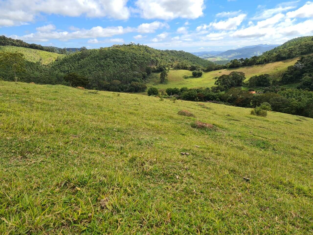 Sítio, 3 quartos, 51 hectares - Foto 25
