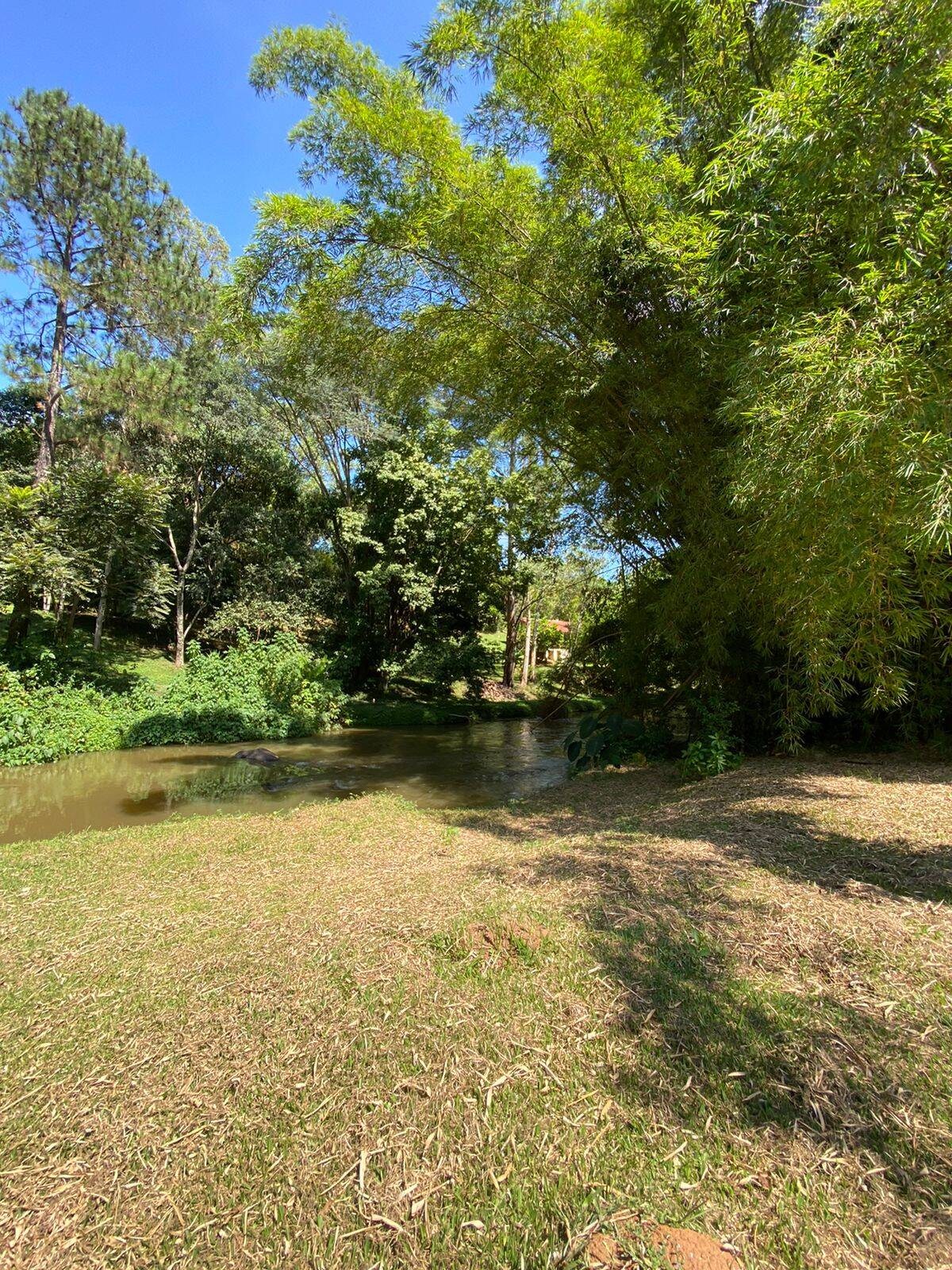 Sítio, 5 quartos, 3 hectares - Foto 2