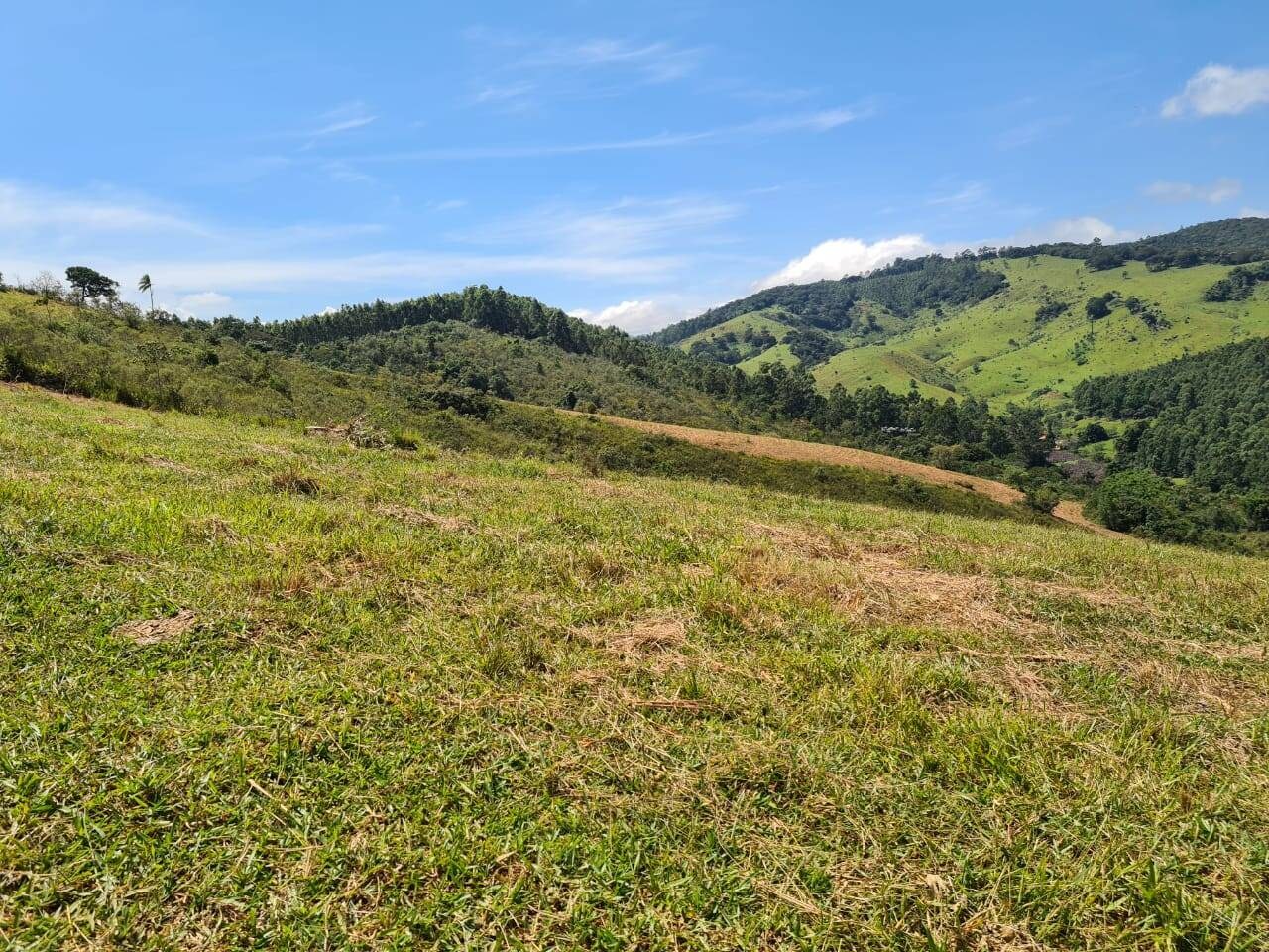 Sítio, 1 quarto, 19 hectares - Foto 9