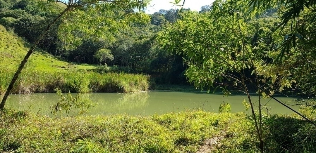 Chácara, 7 quartos, 4 hectares - Foto 2