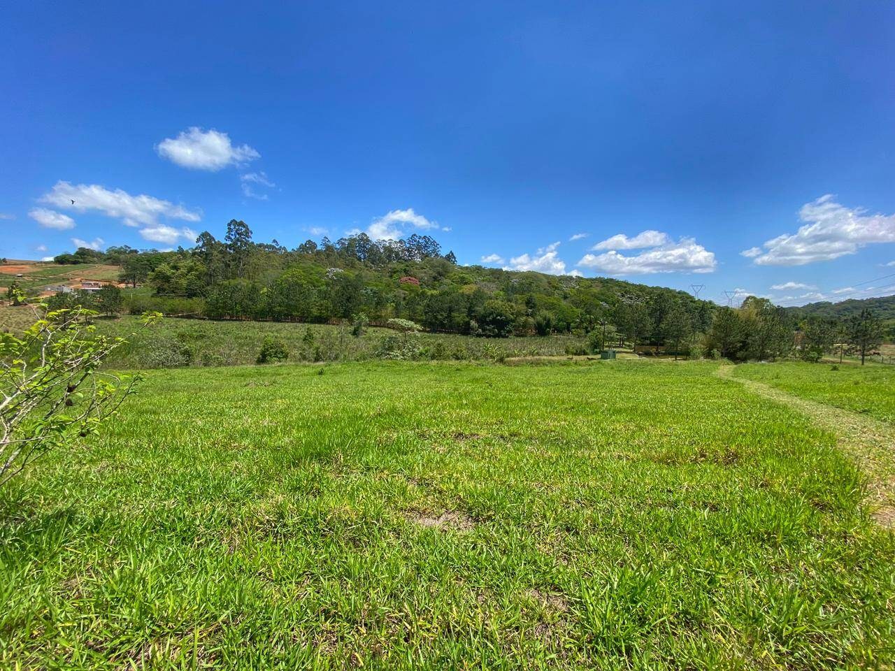 Sítio, 6 quartos, 6 hectares - Foto 35